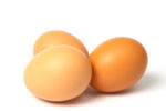 Vergelijk hier alle eierkokers!