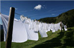 Wassen